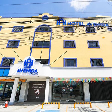 Hotel Avenida Cancun Dış mekan fotoğraf
